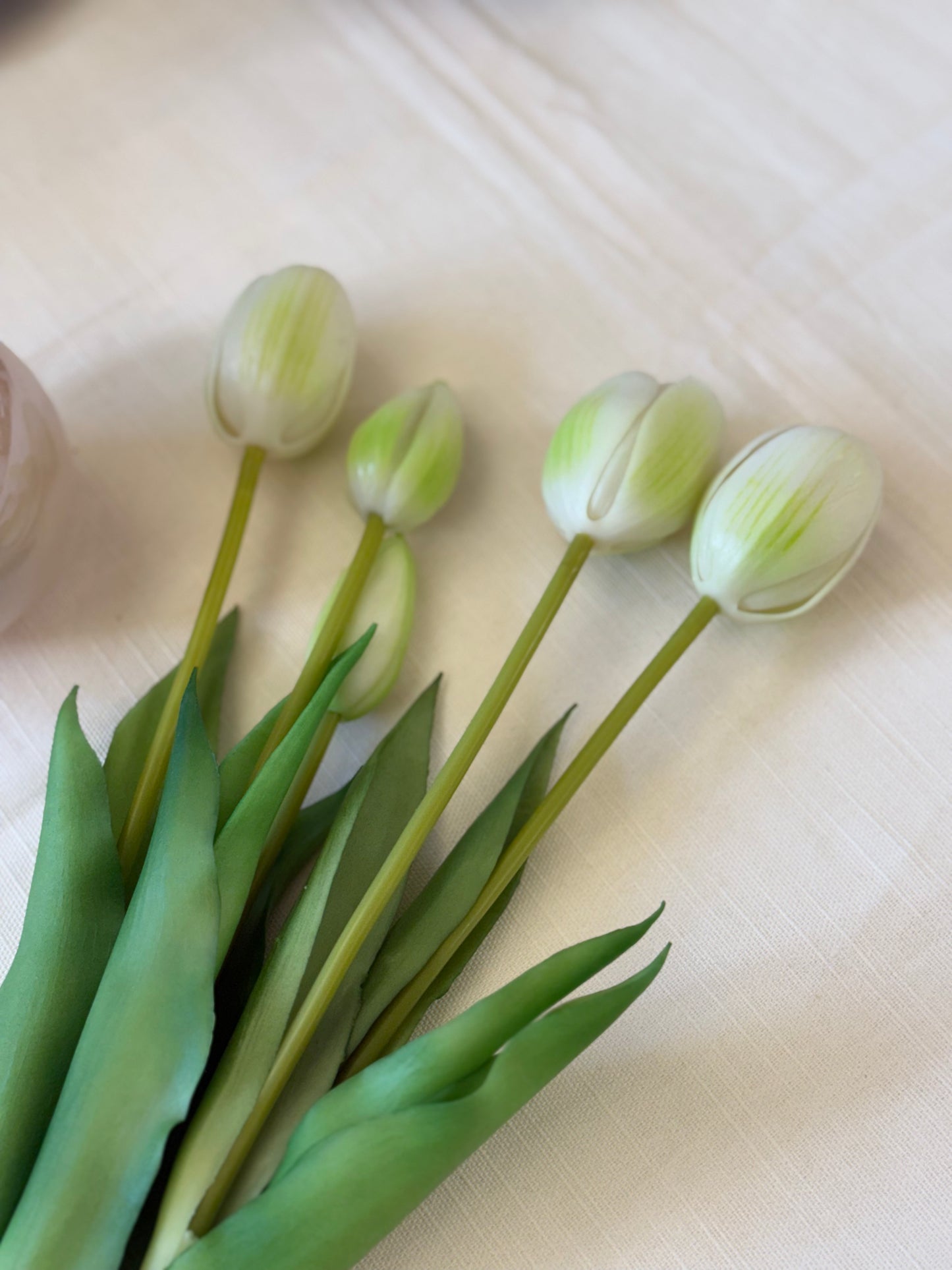Mazzo Tulipani in Gomma 5pz