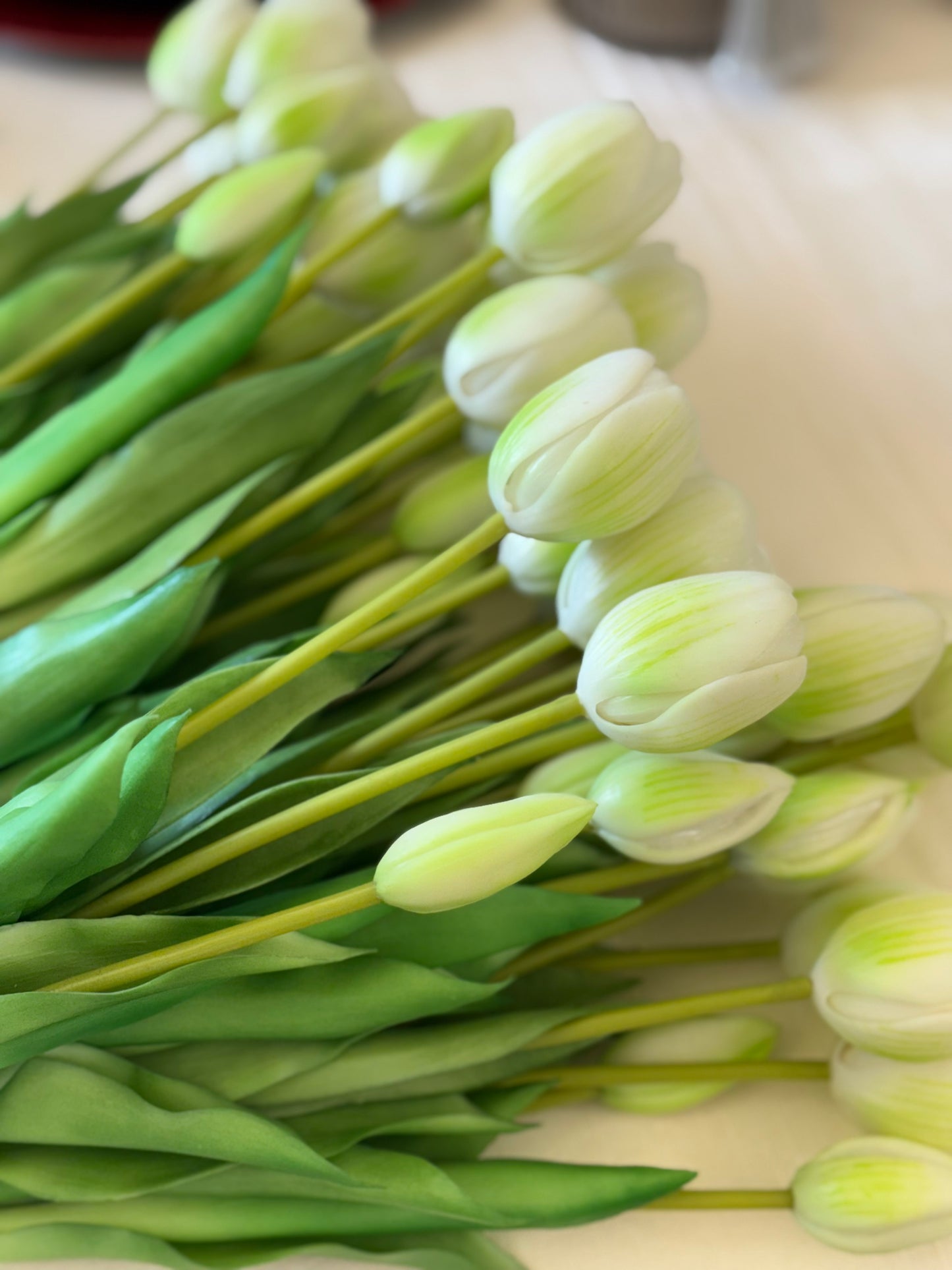 Mazzo Tulipani in Gomma 5pz