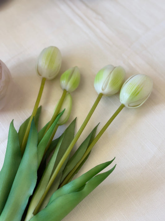 Mazzo Tulipani in Gomma 5pz