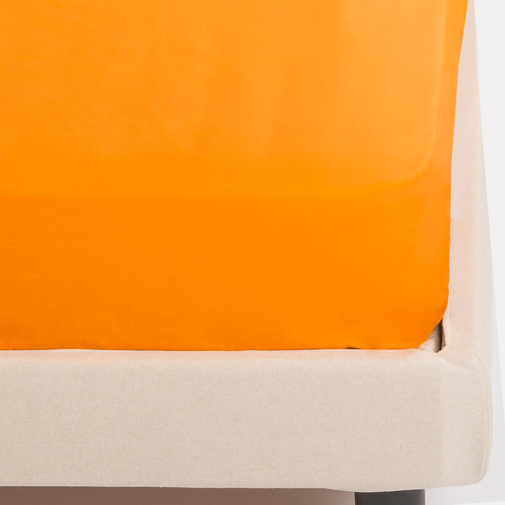 Lenzuola Sotto con Angoli Riviera Paint Matrimoniale | 100% Cotone Altezza 28cm